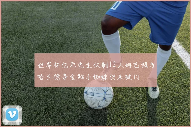 世界杯亿元先生仅剩12人姆巴佩与哈兰德争金靴小蜘蛛仍未破门